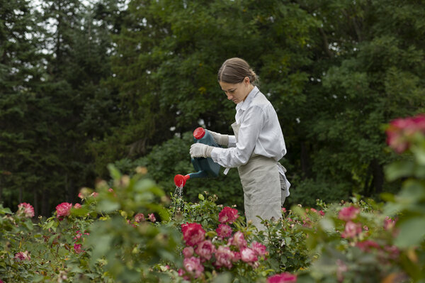 Eine Frau wässert blühende Rosen in einem Garten.